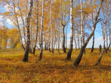 Фотография под названием "Осенний лес" - Николай Матюшенков, Подлинное произведение искусства