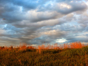 Photography titled "Осенние мотивы" by Nikolai Matiushenkov, Original Artwork