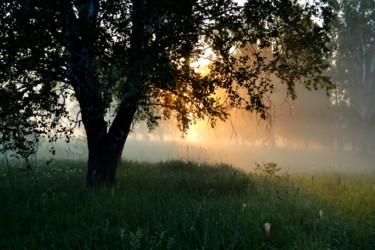 Фотография под названием "Утро туманное" - Николай Матюшенков, Подлинное произведение искусства