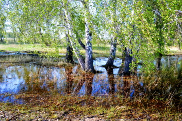 Fotografie getiteld "Купающиеся березы" door Nikolai Matiushenkov, Origineel Kunstwerk