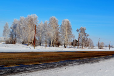 Fotografie mit dem Titel "Зимой в лесостепи" von Nikolai Matiushenkov, Original-Kunstwerk