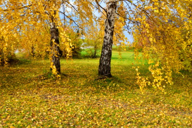 Photography titled "Садовая осень" by Nikolai Matiushenkov, Original Artwork