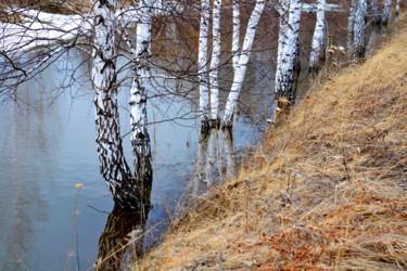 Photographie intitulée "В весеннее половодье" par Nikolai Matiushenkov, Œuvre d'art originale