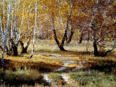 Фотография под названием "В осенней роще" - Николай Матюшенков, Подлинное произведение искусства