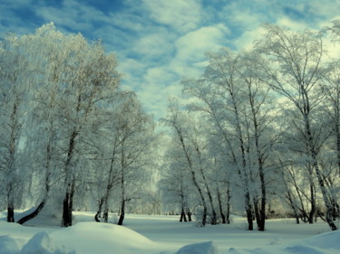 Photographie intitulée "Зима в березовой ро…" par Nikolai Matiushenkov, Œuvre d'art originale