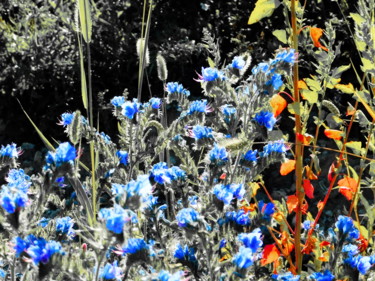 Фотография под названием "Цветы полей" - Николай Матюшенков, Подлинное произведение искусства