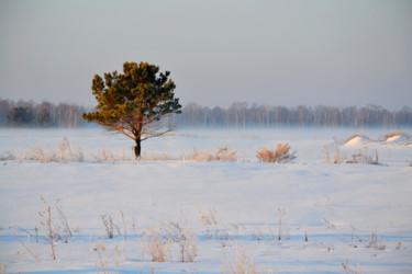 Fotografia zatytułowany „Зимой морозной” autorstwa Николай Матюшенков, Oryginalna praca