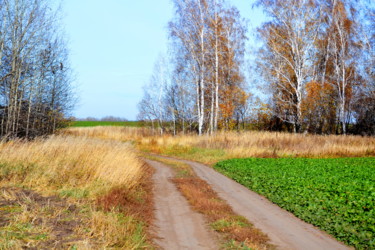 Фотография под названием "Лесостепь и осень" - Николай Матюшенков, Подлинное произведение искусства, Цифровая фотография