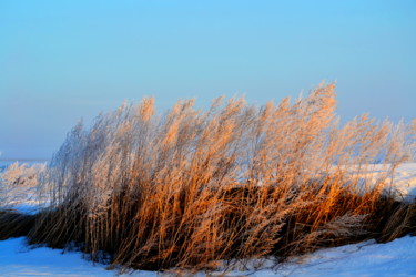 Фотография под названием "Зимним вечером" - Николай Матюшенков, Подлинное произведение искусства, Цифровая фотография