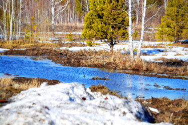 Фотография под названием "В лесу весна" - Николай Матюшенков, Подлинное произведение искусства, Цифровая фотография