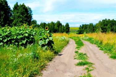 Фотография под названием "По полям фермера" - Николай Матюшенков, Подлинное произведение искусства, Цифровая фотография