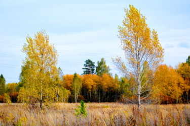 Фотография под названием "Осень пришла" - Николай Матюшенков, Подлинное произведение искусства, Цифровая фотография