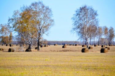 Фотография под названием "Степные корма на зи…" - Николай Матюшенков, Подлинное произведение искусства, Цифровая фотография