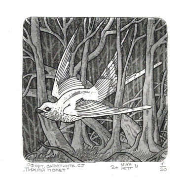 Тихий полет Gravures & estampes intitulée "Тихий полет" par Nika Mett, Œuvre d'art originale, Eau-forte