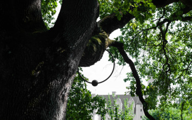 Fotografia intitolato "Goth Tree" da Nikam Zeiss, Opera d'arte originale