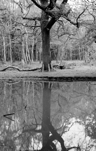 Photographie intitulée "Le Reflet Cassés" par Nikam Zeiss, Œuvre d'art originale, Photographie non manipulée