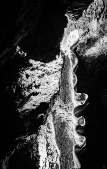 Fotografía titulada "Totem" por Nikam Zeiss, Obra de arte original, Fotografía digital