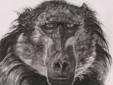 Drawing titled "Baboon" by Niki Saunders, Original Artwork, Ink