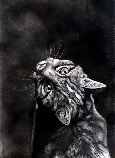 Рисунок под названием "African Wild Cat" - Niki Saunders, Подлинное произведение искусства, Чернила Установлен на картон