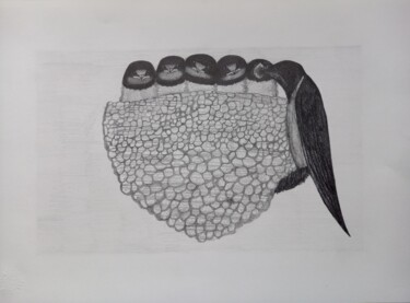 Zeichnungen mit dem Titel "Swallows" von Nikolaos Triantafyllou, Original-Kunstwerk, Graphit