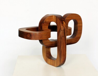 Skulptur mit dem Titel "6hoch3_limitierte E…" von Nikolaus Weiler, Original-Kunstwerk, Holz