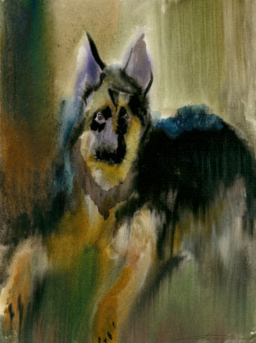 Картина под названием "Young Dog" - Nikolay Biryukov, Подлинное произведение искусства, Акварель