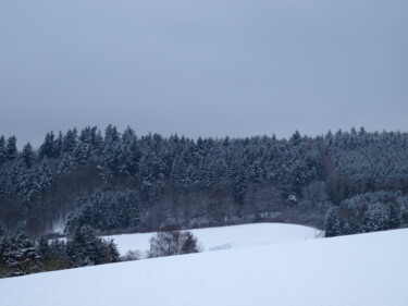 Photography titled "Winter in Deutschla…" by Nikolay Maruskin, Original Artwork, Digital Photography