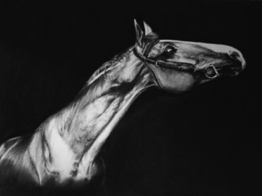 Drawing titled "Тень" by Nikoliia Gribko, Original Artwork, Charcoal