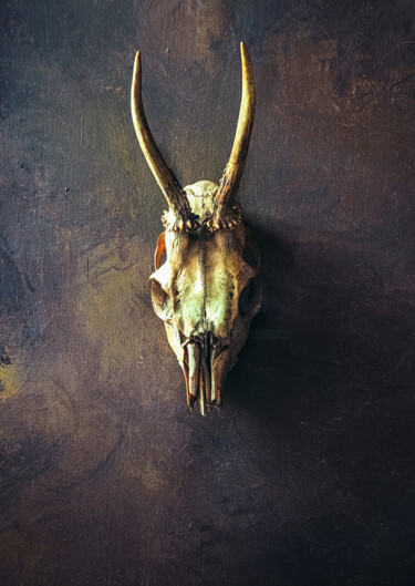 Digital Arts titled "Animal Skull - smal…" by Nikolina Petolas, Original Artwork