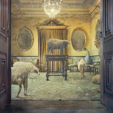 Fotografia intitolato "Sheep's Day" da Nikolina Petolas, Opera d'arte originale, Fotografia manipolata