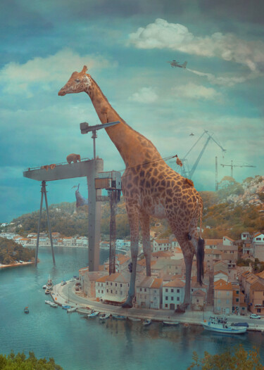 Цифровое искусство под названием "High and Away, 65x4…" - Nikolina Petolas, Подлинное произведение искусства, Фотомонтаж