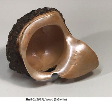 Skulptur mit dem Titel "Shell-2" von George Nikonov, Original-Kunstwerk, Holz