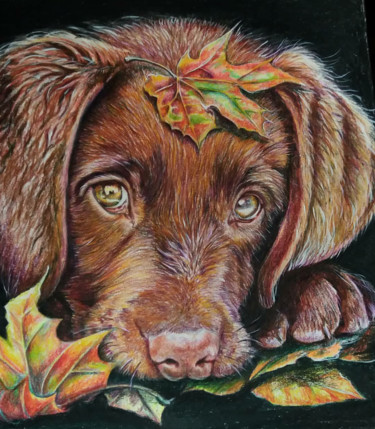 Рисунок под названием "Собачка и листья" - Виктория Марценюк, Подлинное произведение искусства, Цветные карандаши