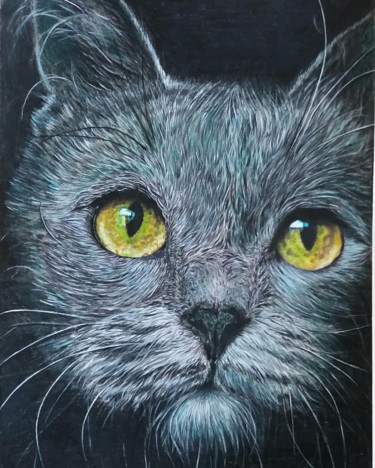 Рисунок под названием "Кошка" - Виктория Марценюк, Подлинное произведение искусства, Карандаш