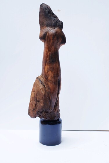 Skulptur mit dem Titel "Abstract wood Femal…" von Nilupul Jayathunga, Original-Kunstwerk, Holz