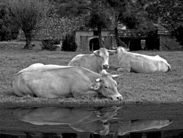 Photographie intitulée "Insouciance" par Nina Beddar, Œuvre d'art originale, Photographie numérique