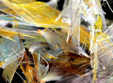 Digital Arts titled "SONG OF FEATHERS" by Nina Pacôme, Original Artwork, Digital Painting