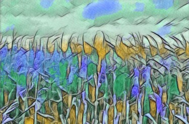 Digital Arts titled "Field" by Nina Sagemerten, Original Artwork, Photo Montage