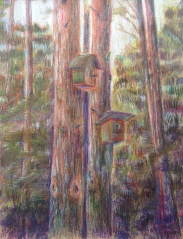 Dessin intitulée "Bird cottages (Птич…" par Nina Speranskaya, Œuvre d'art originale, Conté