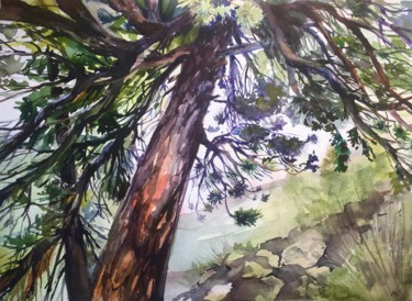 Malarstwo zatytułowany „Siberian cedar” autorstwa Nina Yudina, Oryginalna praca, Akwarela