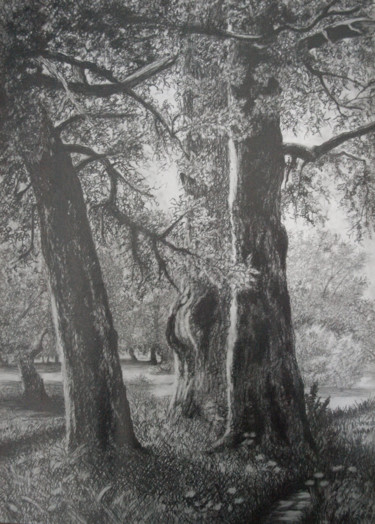 Zeichnungen mit dem Titel "Trees" von Nino Gudadze, Original-Kunstwerk, Bleistift