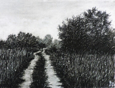 Рисунок под названием "Summer road" - Nino Gudadze, Подлинное произведение искусства, Древесный уголь