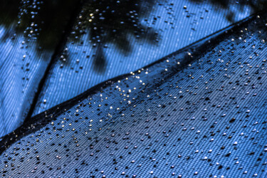 Photographie intitulée "chuva de prata." par Nino Rocha Fotografia, Œuvre d'art originale, Photographie numérique
