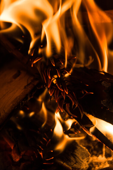Fotografia intitulada "língua de fogo- par…" por Nino Rocha Fotografia, Obras de arte originais, Fotografia digital