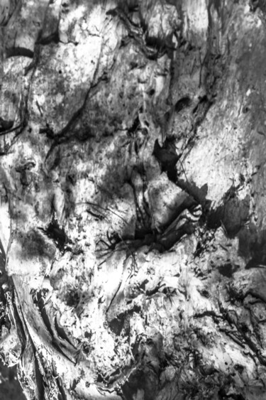 Fotografía titulada "pântano- pareidolia." por Nino Rocha Fotografia, Obra de arte original, Fotografía digital