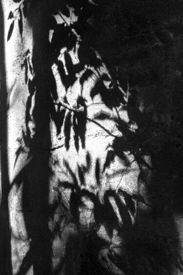 Фотография под названием "entre sombras." - Nino Rocha Fotografia, Подлинное произведение искусства, Цифровая фотография