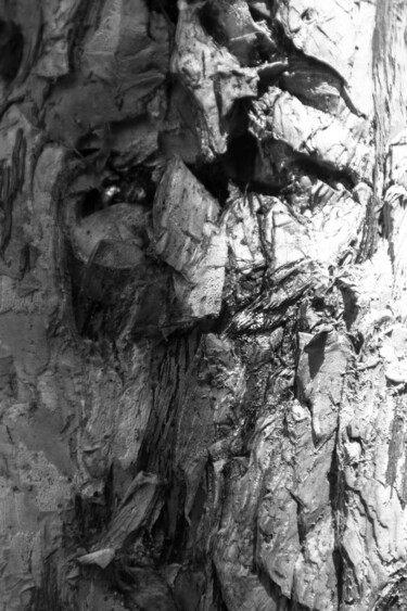 Fotografía titulada "duas caras." por Nino Rocha Fotografia, Obra de arte original, Fotografía digital