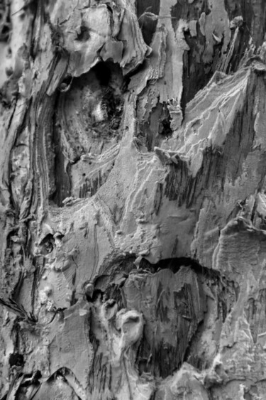 Fotografía titulada "cabeça de palha 2." por Nino Rocha Fotografia, Obra de arte original, Fotografía digital