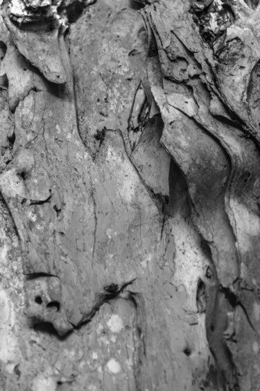 Fotografía titulada "Morgana 2." por Nino Rocha Fotografia, Obra de arte original, Fotografía digital