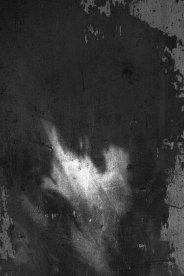 Fotografía titulada "belinha." por Nino Rocha Fotografia, Obra de arte original, Fotografía digital